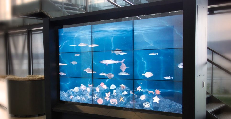 Interactive virtual aquarium