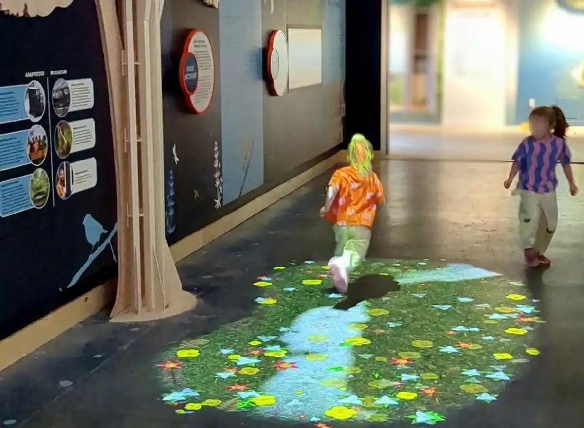 Des enfants interagissent sur une projection interactive d'été au sol au Muskoka Discovery Centre réalisée par Simbioz