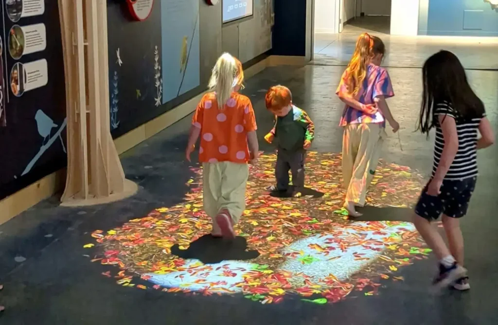 Des enfants interagissent sur une projection interactive d'automne au sol au Muskoka Discovery Centre réalisée par Simbioz